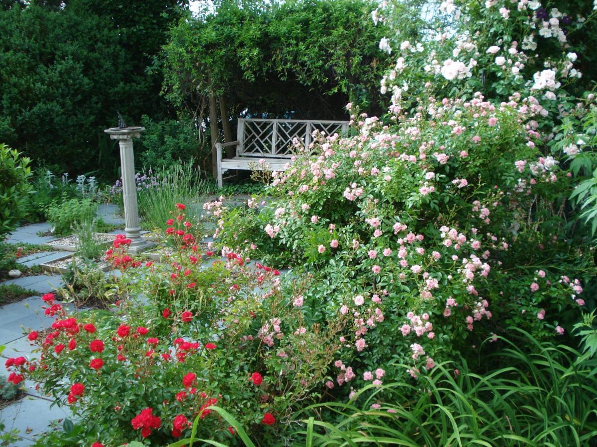 Newport House Bed & Breakfast วิลเลียมส์เบิร์ก ภายนอก รูปภาพ